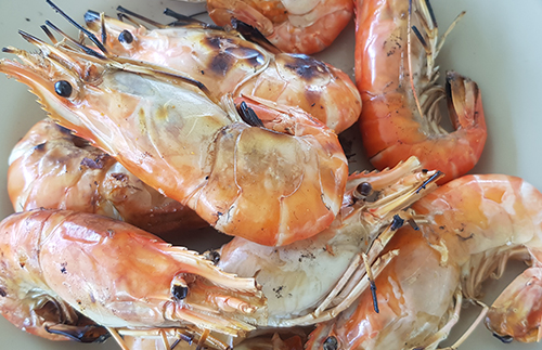 กุ้งเผา