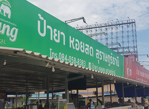 ร้านป้ายาหอยสด